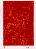 photo micrograph B