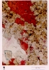 photo micrograph B
