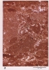 photo micrograph A