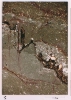 photo micrograph C