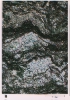 photo micrograph B