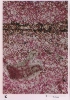 photo micrograph C