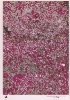 photo micrograph A