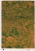 photo micrograph B