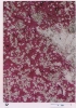 photo micrograph D
