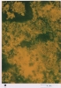 photo micrograph D