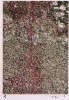 photo micrograph C