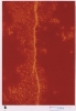 photo micrograph D